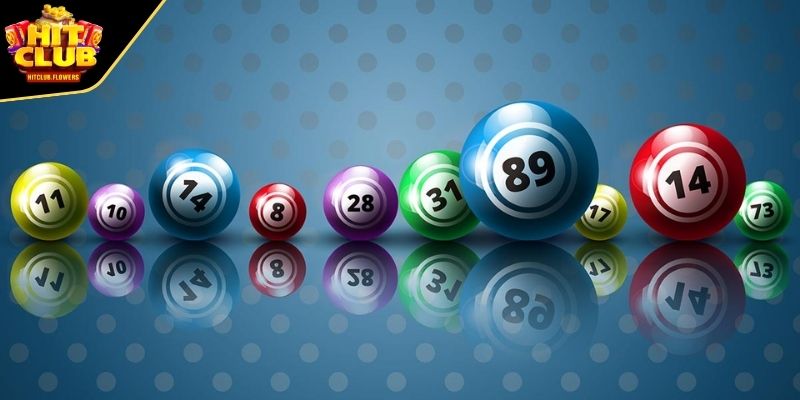 Bóng số tập trung vào phân tích tần suất con số nổ